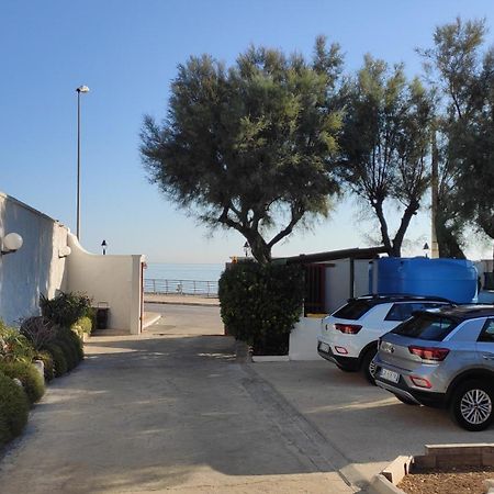 Seagull Apartments - Front And Sea View & Airport Bari Eksteriør bilde